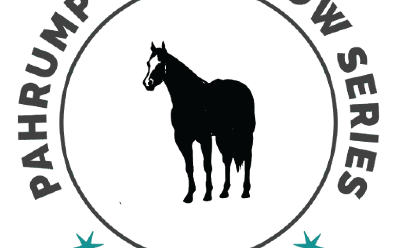 logo-poss